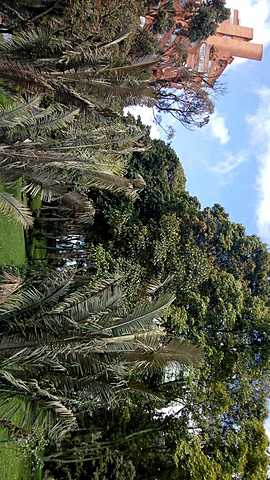 Art nouveau / vida personal Valentina Bonilla