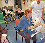 Instituto Bethel: Bielefield (Alemania)