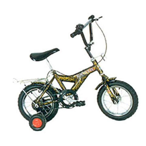 Learned how to ride bike