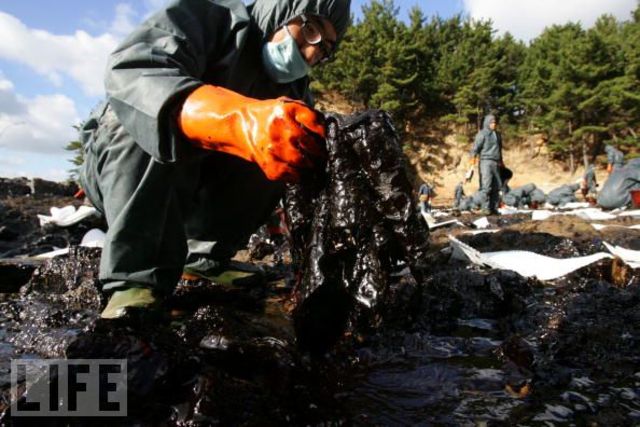 Sea star 115,000 Tonnes