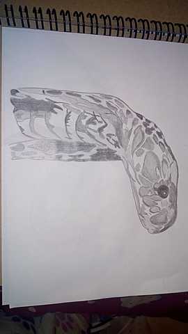 Técnica de Dibujo | Diana