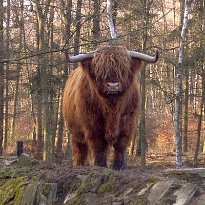 Timeline: Kalla Kriget (1947 - 1991)