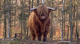 Timeline: Kalla Kriget (1947 - 1991)