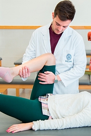 Título de Grado en Fisioterapia