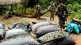 Timeline: El Narcotrafico En El Mundo