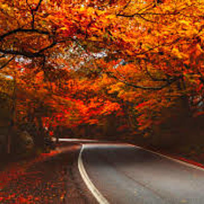 Timeline: Fall Break 2019