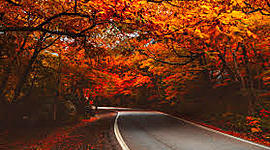 Timeline: Fall Break 2019