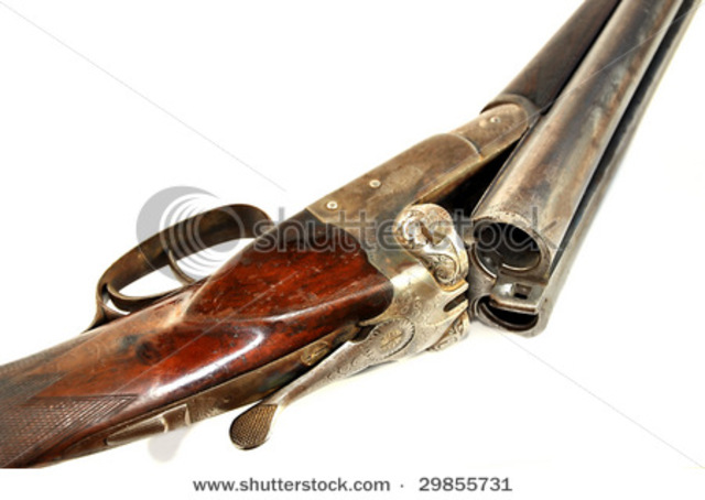 Act X- Negroes were not allowed to bear arms