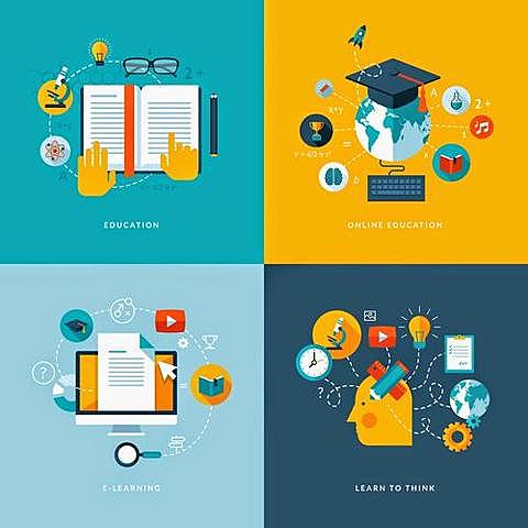 Mason, Pegler y Weller (2005)