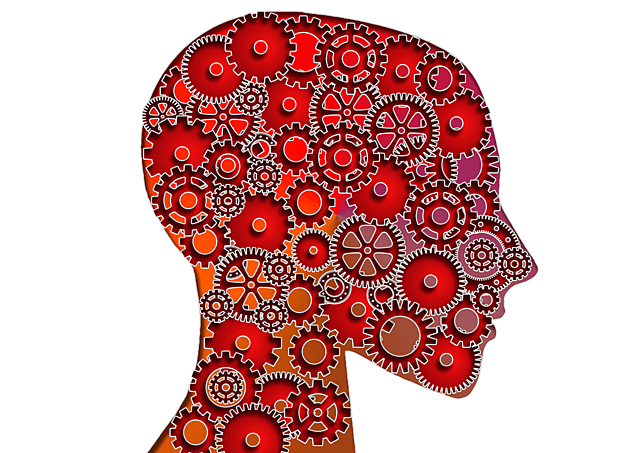 El enfoque cognitivo