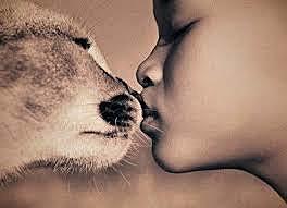 El hombre, el animal.