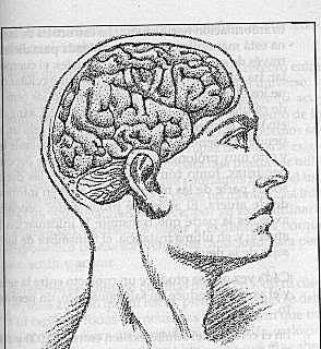 La década del cerebro