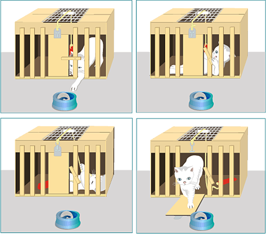 Edward Thorndike ¨Ley de sin lectura¨