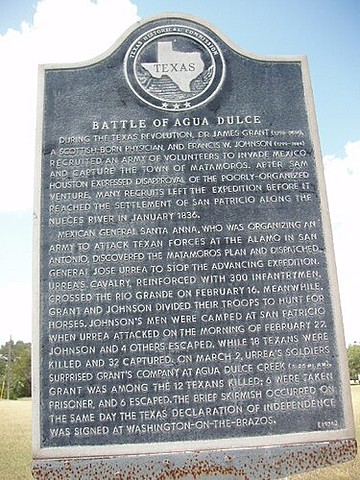 The Battle of Agua Dulce