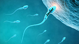 Timeline: Norberto Javier Gallardo