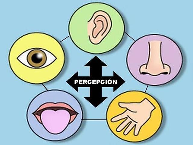 Jacob Robert Kantor ¨Sugerencias hacia una interpretación científica de la percepción¨