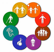 Concepto Discapacidad