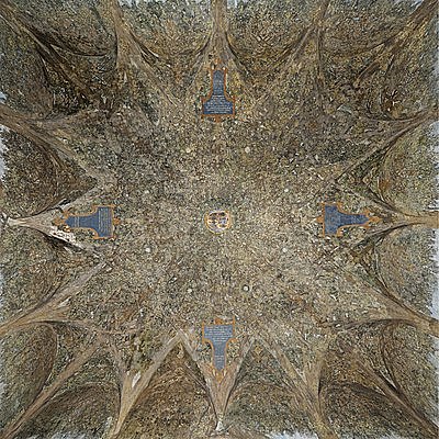 Leonardo worked for the Duke of Milan