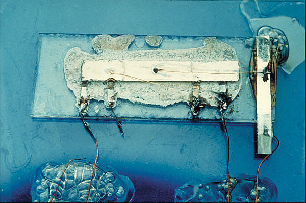 NACIMIENTO DEL MICROCHIP