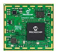 microchip