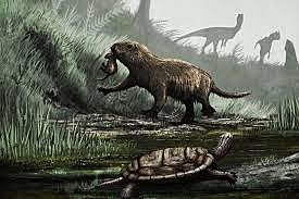 Los primeros mamíferos