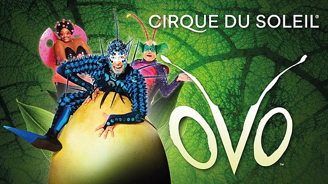 The day i went to the cirque du soleil