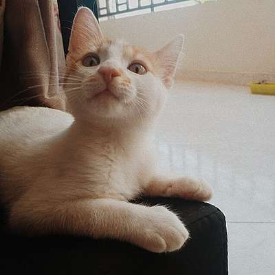 Timeline: The most important events in my life