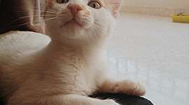 Timeline: The most important events in my life