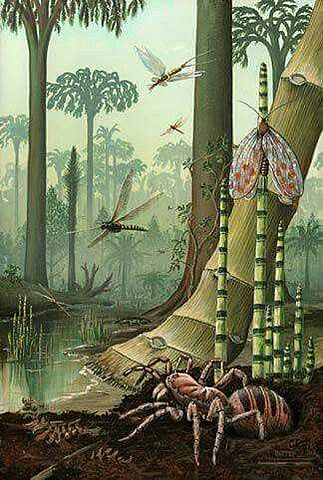 Primeros insectos, los pioneros en la colonización del medio terrestre.