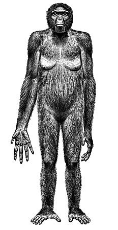 Primeros primates con mano prensil.