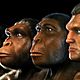 Hominids