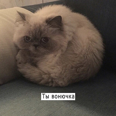 Timeline: Ürimistöö