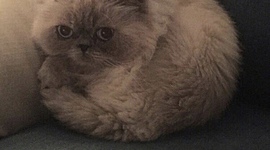 Timeline: Ürimistöö