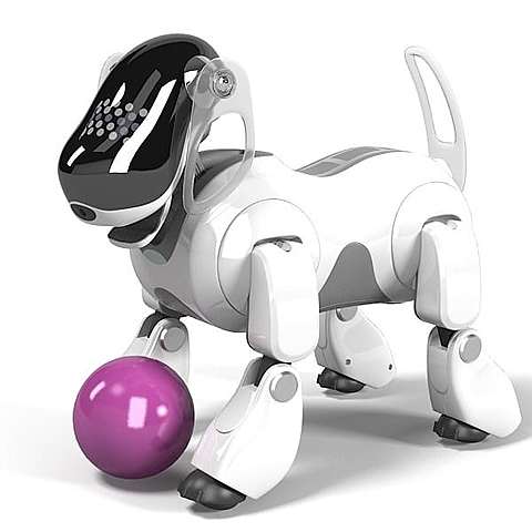 aibo