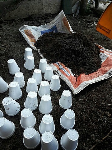 PREPARACION DEL SUELO