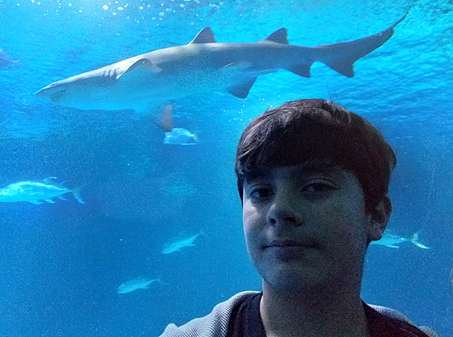 Oceanografic in Valencia