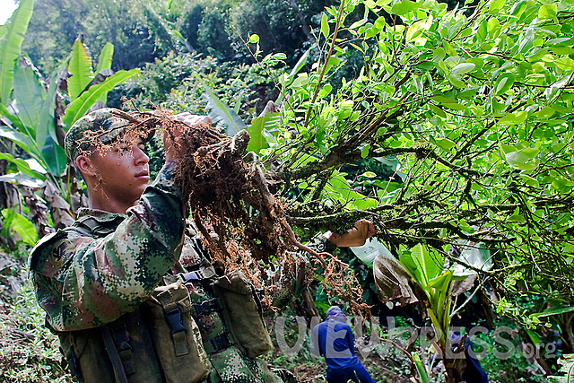 How it Became Exploited