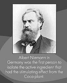 Being Extracted From The Leaves