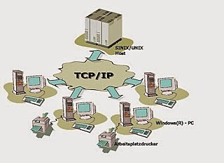 los primeros protocolos