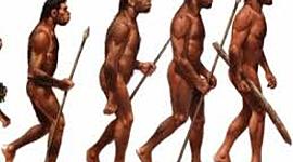 Timeline: La evolucion de los hominidos a lo largo de la historia