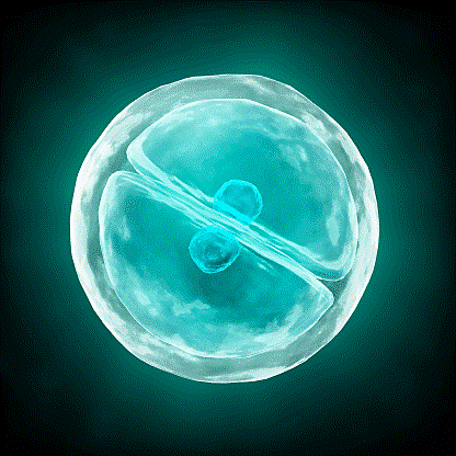 ORIGEN DEL APAREAMIENTO