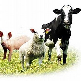 ENGLISH SPEAKING-FARMERS