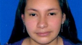 Timeline: Marco ambiental Colombia-Yuri Angelica Rodriguez Tibaquira- Tenjo- Cundinamarca