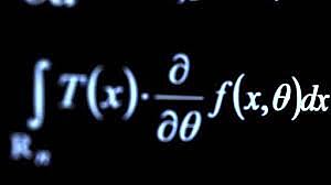 Aportaciones de Sofía Vassilievna Kovalevski