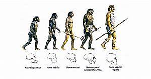 Evolucionismo social
