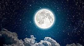 Timeline: evolución de windows