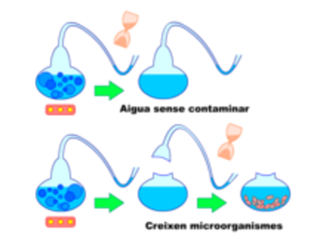 Pasteur's Experiment (1844)