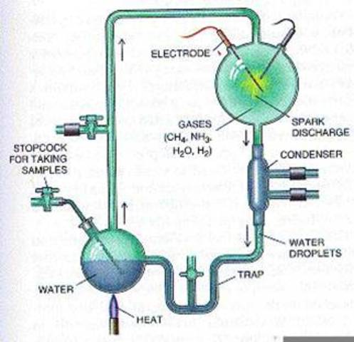 Miller and Urey Experiment (1953)