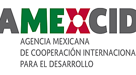 Timeline: Consolidación de AMEXIC