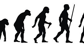 Timeline: Evolución del hombre